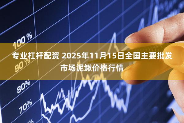 专业杠杆配资 2025年11月15日全国主要批发市场泥鳅价格行情