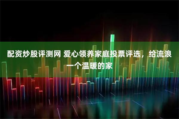 配资炒股评测网 爱心领养家庭投票评选，给流浪一个温暖的家